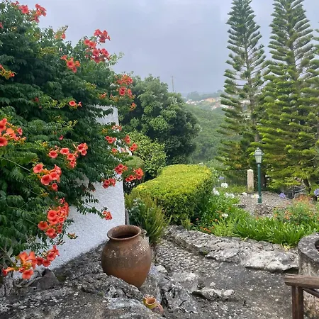 Alto Paraiso Boutique Hytte Reguengo Grande
