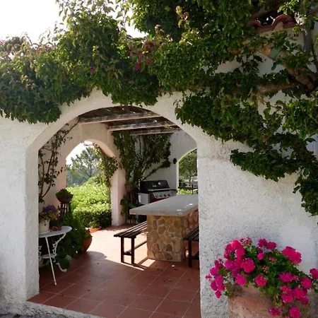 Alto Paraiso Boutique Hytte Reguengo Grande